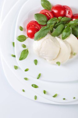 Domates ve fesleğenli mozzarella.