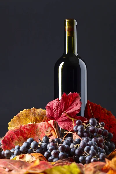 레드 와인, 포도 및 건조 포도 나무 잎 . — 스톡 사진