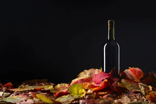 Vino rosso e foglie di vite secche  . — Foto Stock