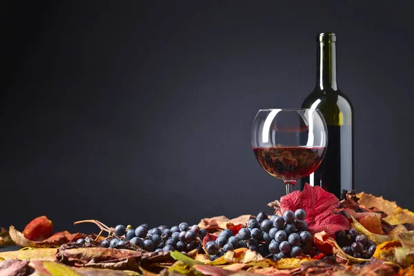 Vino rosso, uva e foglie secche di vite  . — Foto Stock