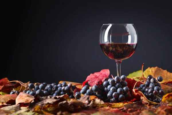 Vino rosso, uva e foglie secche di vite  . — Foto Stock