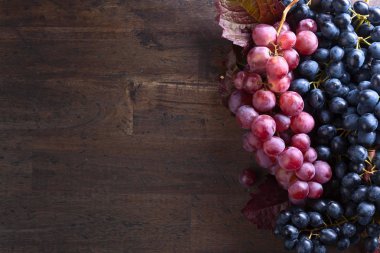 Üzüm yaprakları ile demet.