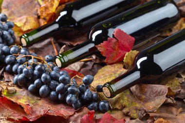 Kırmızı şarap ve üzüm. .