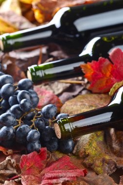 Kırmızı şarap ve üzüm. .