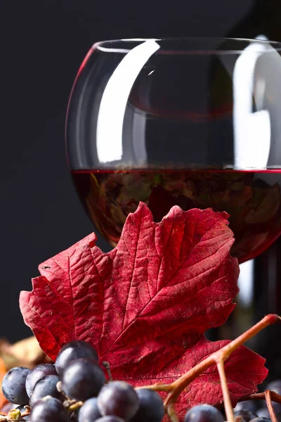 Vino rosso, uva e foglie secche di vite  . — Foto Stock