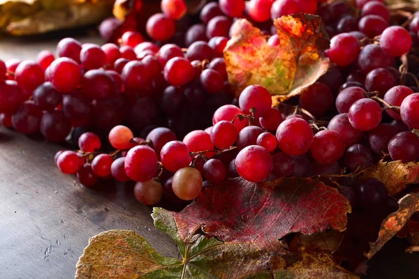Виноград с листьями . — стоковое фото