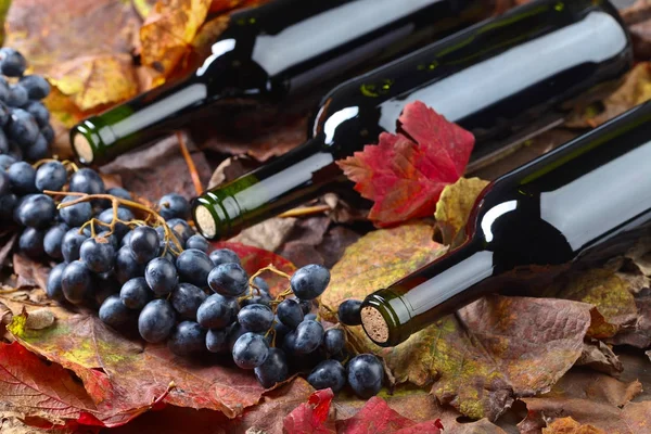 Rotwein und Trauben . — Stockfoto