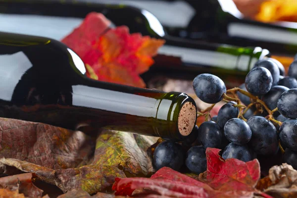 Kırmızı şarap ve üzüm. .