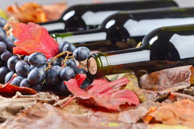 Kırmızı şarap ve üzüm. .