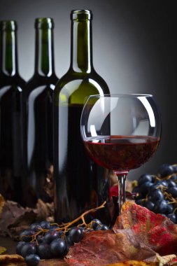 Kırmızı şarap ve üzüm. .