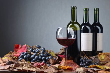 Kırmızı şarap ve üzüm. .