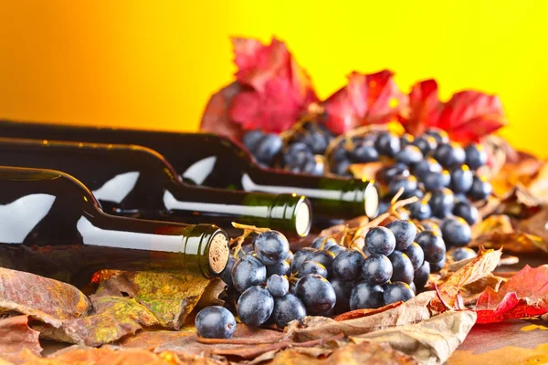 Kırmızı şarap ve üzüm. .