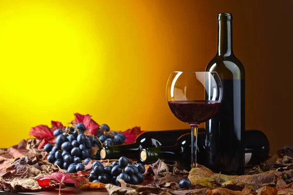 Red wine and grapes . — Stock Photo, Image