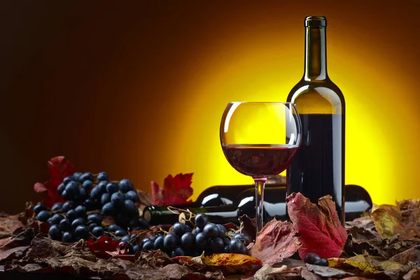 Rotwein und Trauben . — Stockfoto