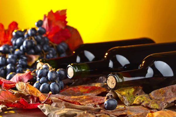 Kırmızı şarap ve üzüm. .