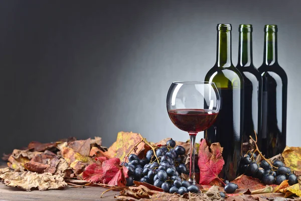 Kırmızı şarap ve üzüm. .