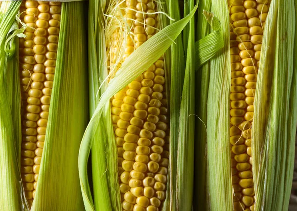 Sweet corn on cobs . — Stock Photo, Image