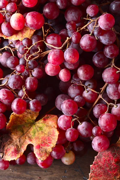 Uvas com folhas de uva . — Fotografia de Stock