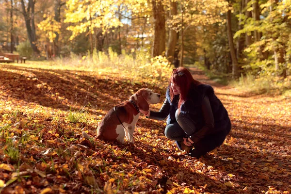 Spaziergänge im Park. — Stockfoto