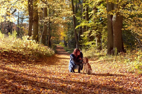 Wandelen in het park. — Stockfoto