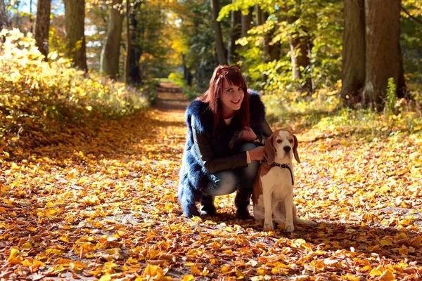 Spaziergänge im Park. — Stockfoto