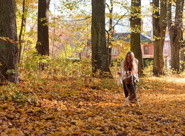 Menina bonita com cão no parque . — Fotografia de Stock