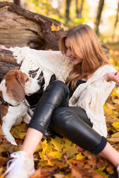 공원에서 개를 가진 아름 다운 소녀. — 스톡 사진