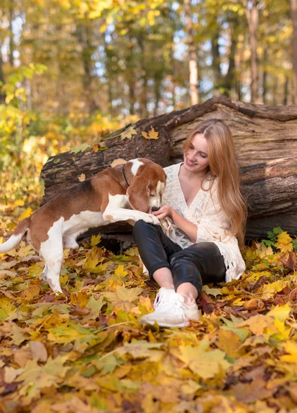 Parkta köpek ile güzel kız. — Stok fotoğraf