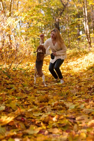 Parkta köpek ile güzel kız. — Stok fotoğraf