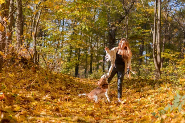 Schönes Mädchen mit Hund im Park. — Stockfoto