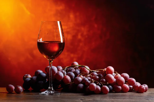 ワインとブドウ . — ストック写真