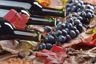 Kırmızı şarap ve üzüm. .