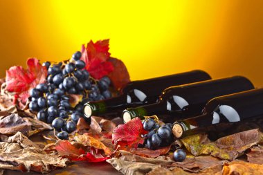 Kırmızı şarap ve üzüm. .