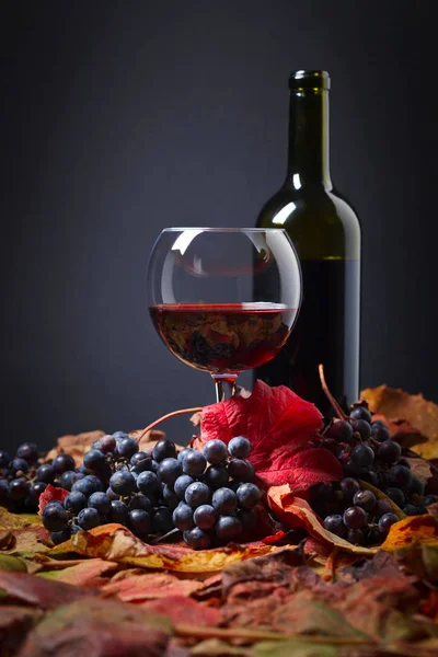 Vinho tinto, uvas e folhas secas de videira  . — Fotografia de Stock