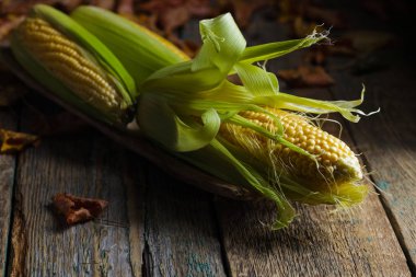 Tatlı mısır koçanı üzerinde .