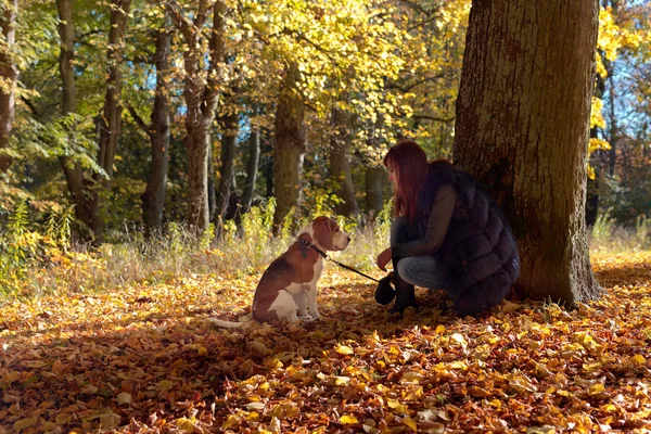 Walking in park. — Stock Photo, Image