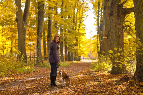 Kvinna med hund i höst park. — Stockfoto