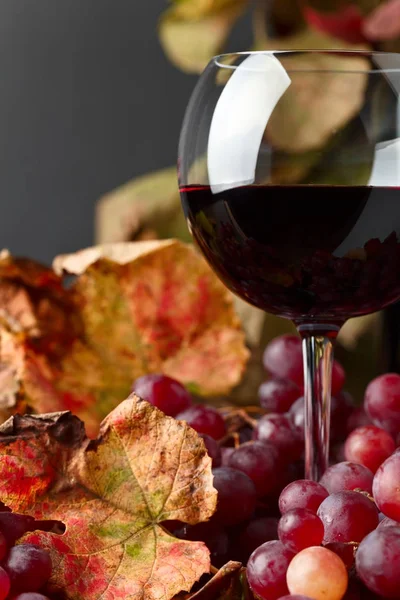 Vino rosso e uva . — Foto Stock