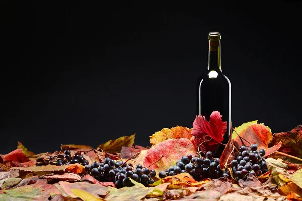Rött vin och torr vinblad . — Stockfoto