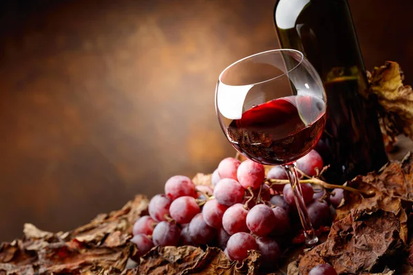 Vidro e garrafa de vinho . — Fotografia de Stock