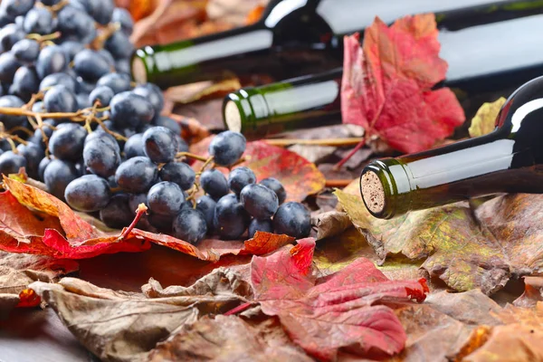 Kırmızı şarap ve üzüm. .