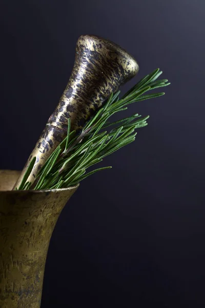 Old copper mortar with rosemary . — Stock Photo, Image