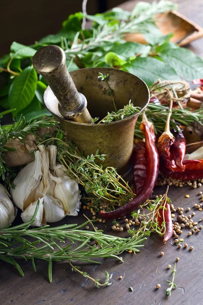 Different herbs and spices  . Stock Photo