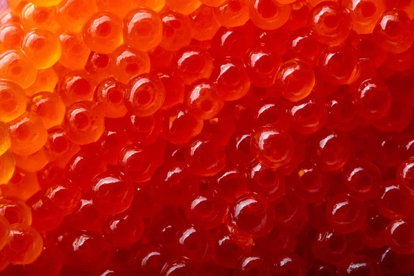 Red caviar mackro shot . — Stock Photo, Image