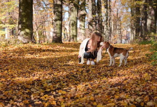 Vacker flicka med beagle i parken. — Stockfoto