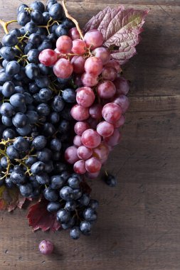 Üzüm yaprakları ile demet.