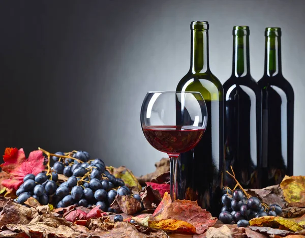 Vino rosso e uva . — Foto Stock