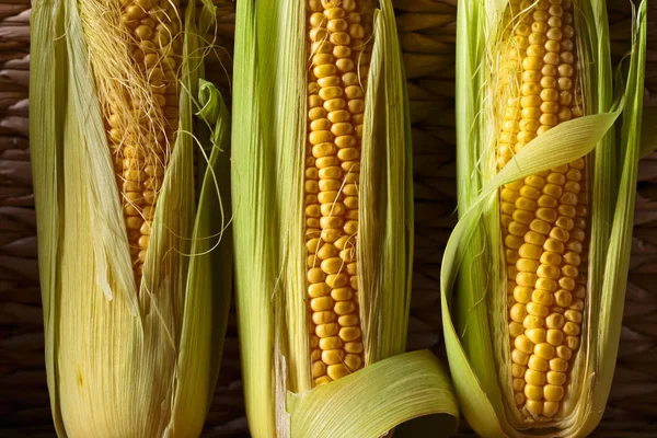 Taze tatlı mısır koçanı üzerinde .