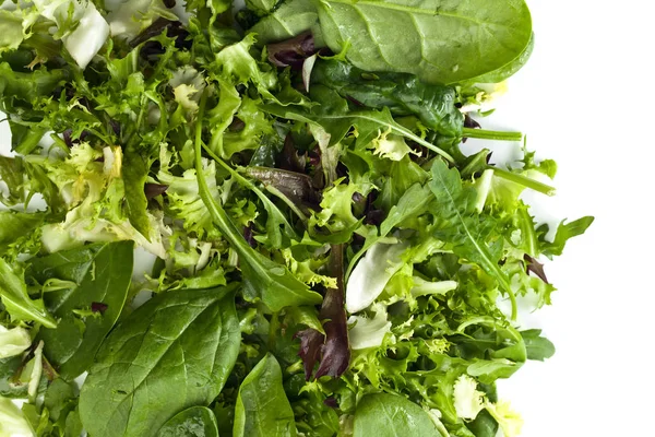 Salade verte fraîche isolée sur fond blanc — Photo