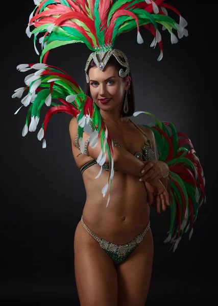 Beautiful woman in  in carnival costume . — Stock Photo, Image